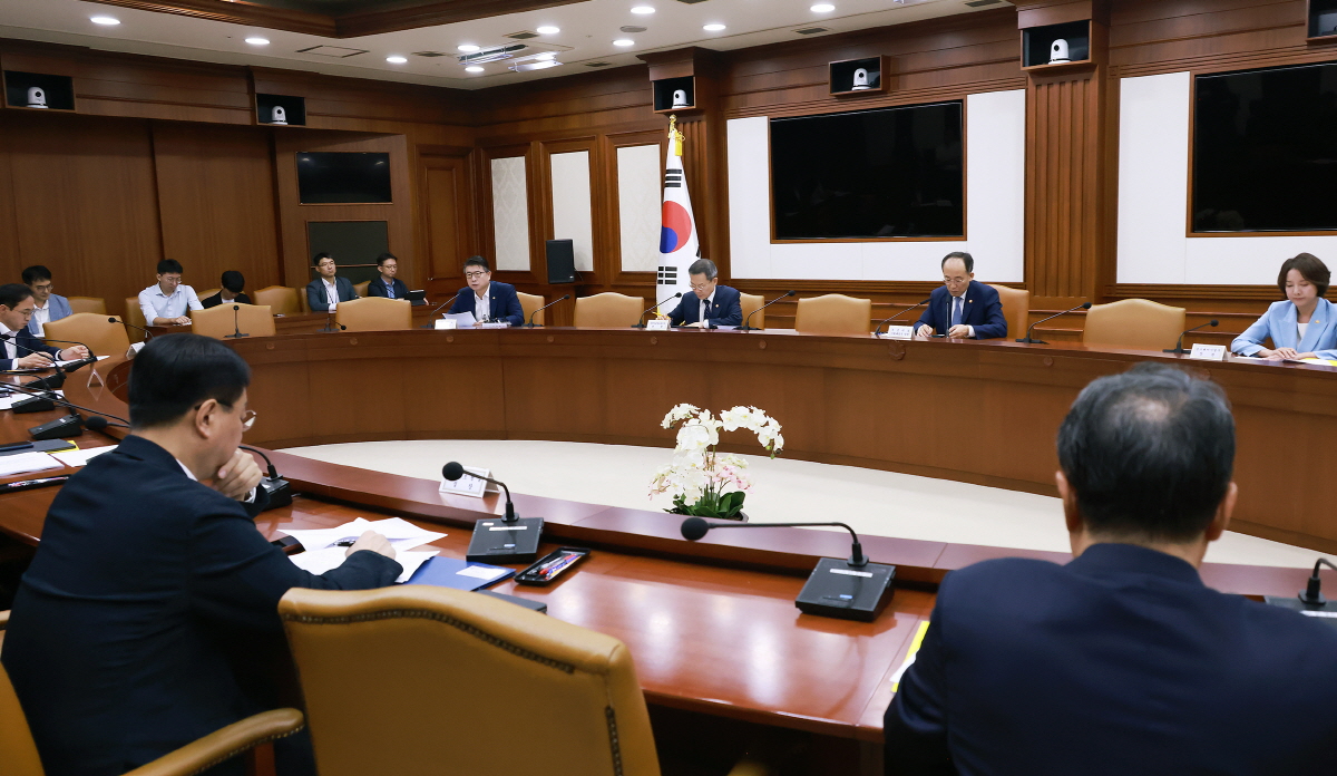 비상경제장관회의 겸 수출투자대책회의